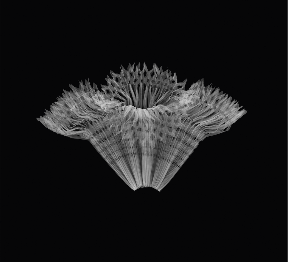 Atlas of Ferré — installazione